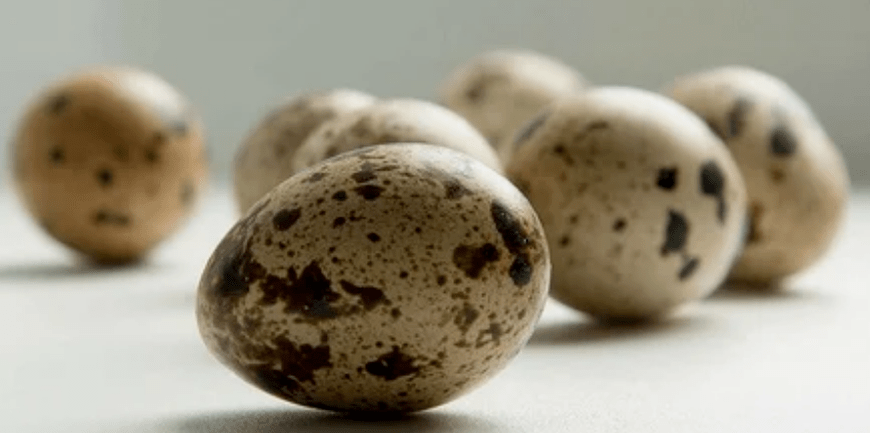 Quail eggs for potency