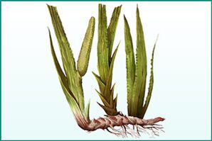 General strengthening and potency increasing air